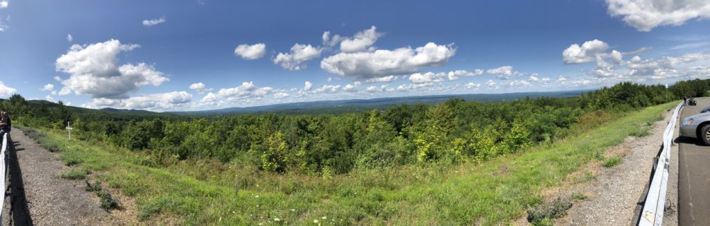 green trees and blue sky with clouds